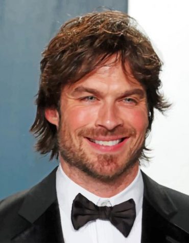 Damon Salvatore Ian Somerhalder Paint By Numbers