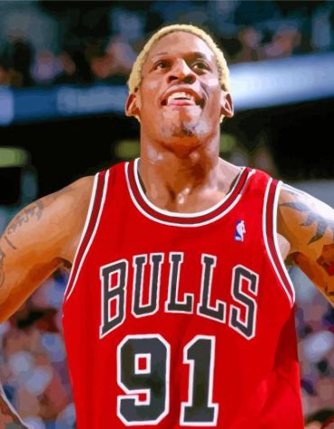 Chicago Bulls Dennis Rodman Sport Paint By Numbers