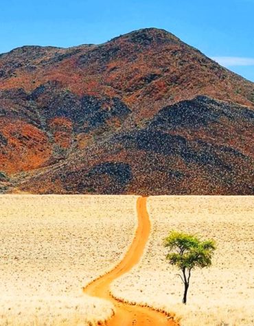 Namibia's Majestic Desert Paint By Numbers