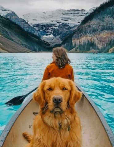 Dog and River Adventure Paint By Numbers