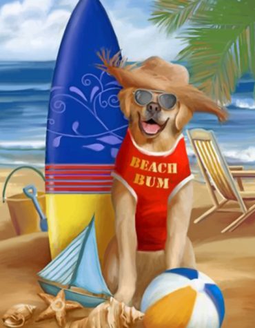 Dog's Beach Adventure Paint By Numbers