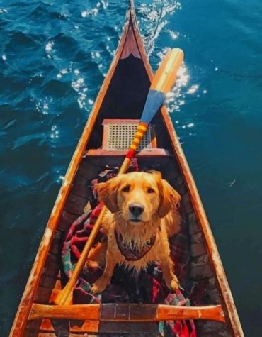 Dog on a River Boat Paint By Numbers