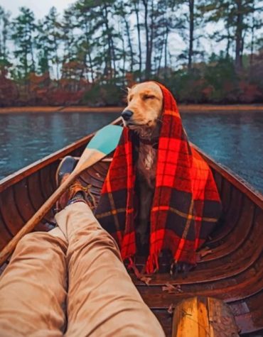 Dog and Boat Nature Escape Paint By Numbers