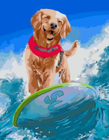 Dog Surfing Adventure Paint By Numbers