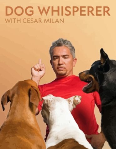 Dog Whisperer TV Series Paint By Numbers