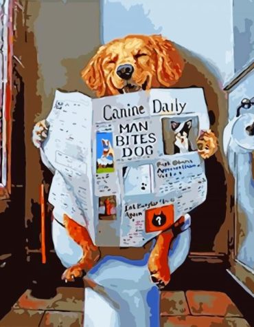 Labrador at the Toilet Paint By Numbers