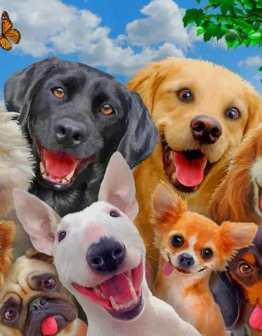 Black Dogs with Butterfly Paint By Numbers