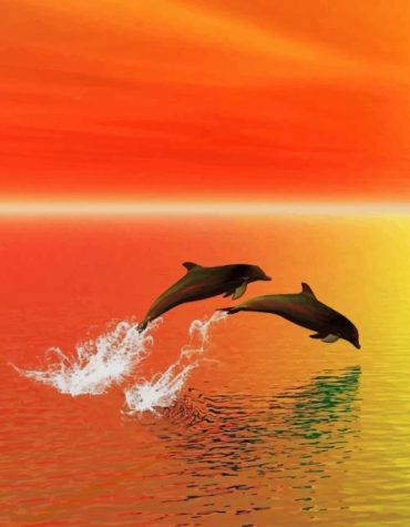 Dolphins Leaping Seas Paint By Numbers