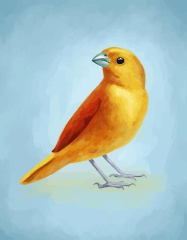Colorful Canary Birds Paint By Numbers