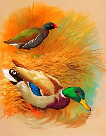 Couple Ducks Love Story Paint By Numbers