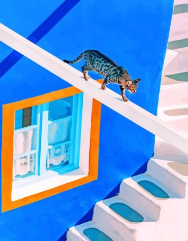 Domestic Short Haired Cat Paint By Numbers