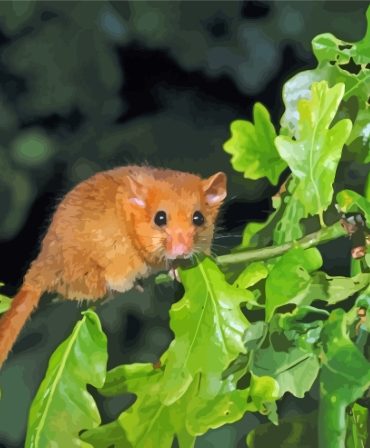 Charming Dormouse Treescape Paint By Numbers