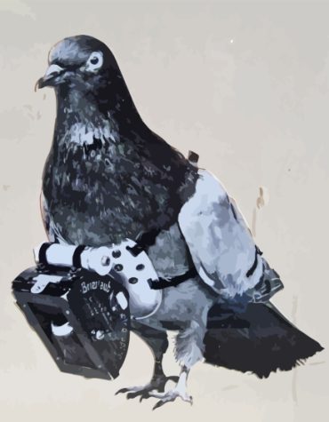 Dove and Camera Paint By Numbers