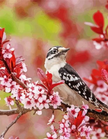Downy Woodpecker on Blossoming Branch Paint By Numbers