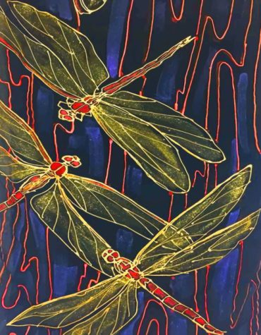 Dragonfly Insects Paint By Numbers