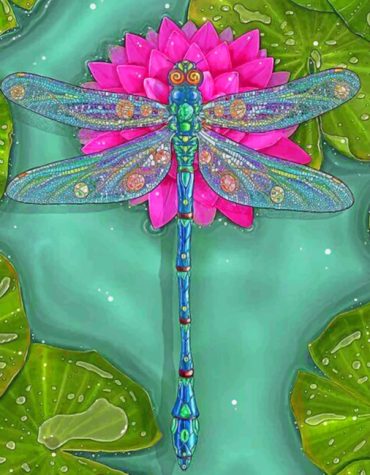 Dragonfly Delight Paint By Numbers