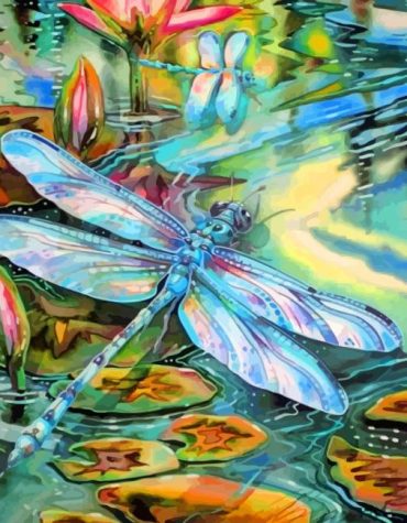 Dragonfly Insects Paint By Numbers