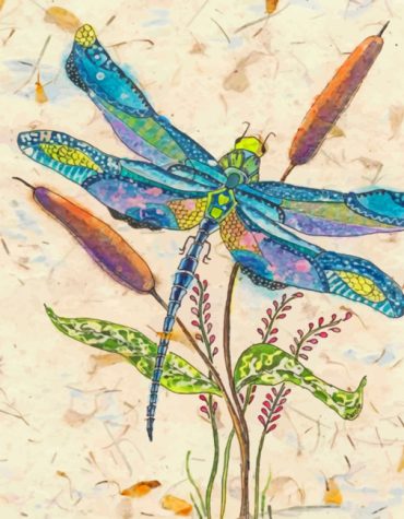 Dragonfly Nature Paint By Numbers