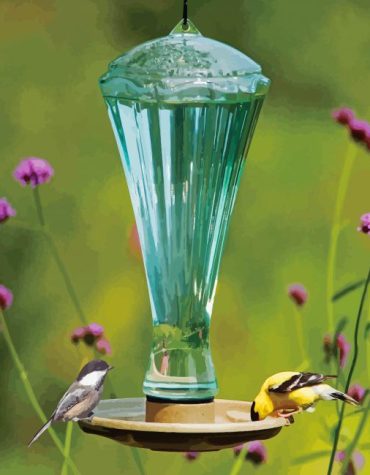 Colorful Birds and Beverage Paint By Numbers