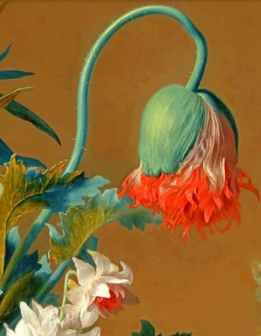 Drooping Flower Canvas Paint By Numbers