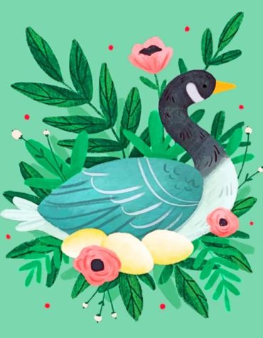 Duck Painting for Bird Lovers Paint By Numbers