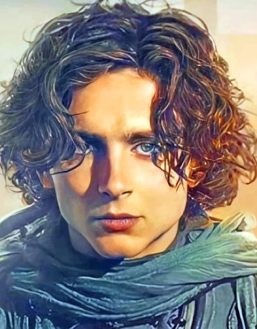 Timothee Chalamet Dune Legacy Paint By Numbers