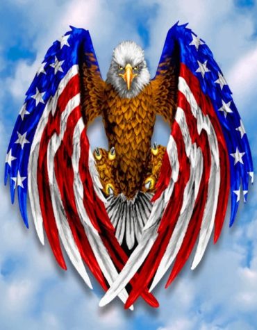 Eagle American Flag Paint By Numbers