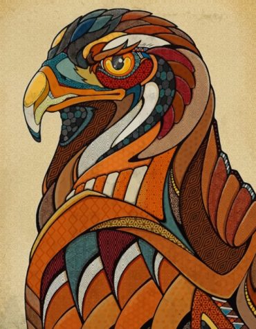 Eagle Wildlife Paint By Numbers