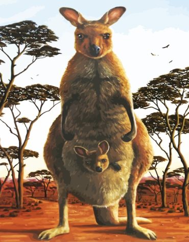 Australian Kangaroo Paint By Numbers