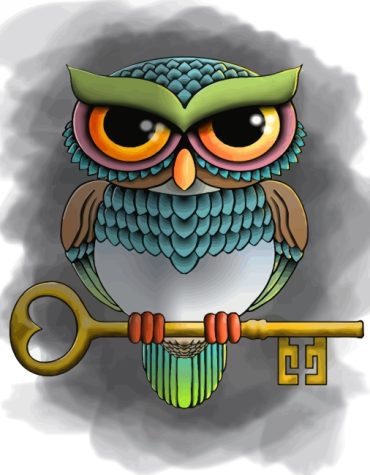 Eastern Screech Owl Birds Paint By Numbers