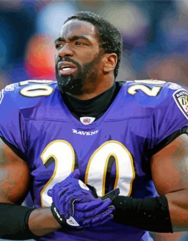 Ed Reed Sports Legend Paint By Numbers