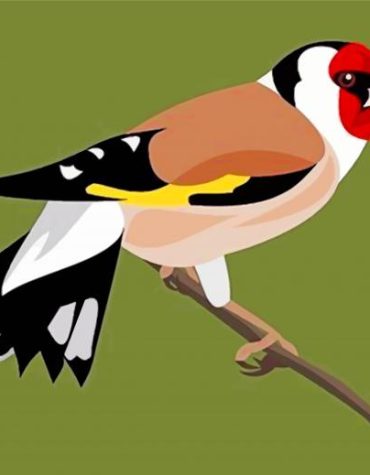 European Goldfinch Bird Paint By Numbers