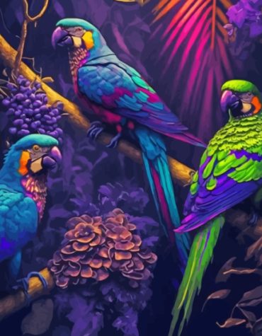 Colorful Tropical African Parrots Paint By Numbers