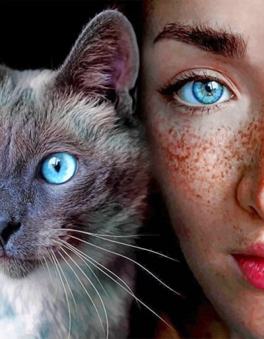 Blue Eyes Girl and Cat Paint By Numbers