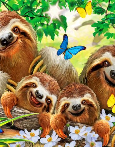Sloth Family Paint By Numbers