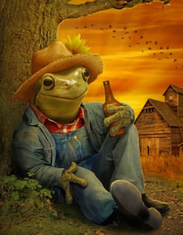 Charming Frog Paint By Numbers