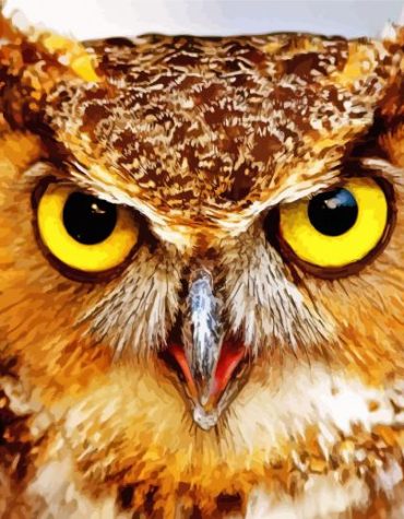 Fierce Owl Portrait Paint By Numbers
