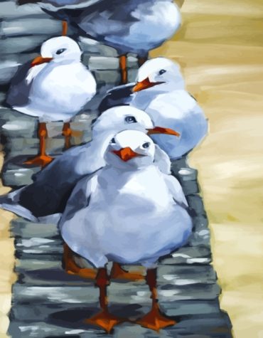 Seagull Flock Scenic Paint By Numbers