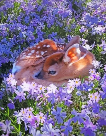 Deer and Flowers Paint By Numbers