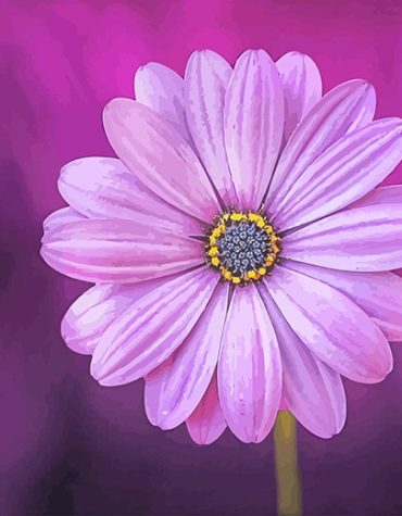 Purple Flower Nature Paint By Numbers