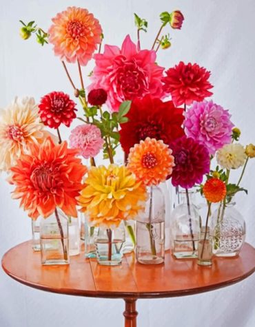Floral Aesthetic Vases Paint By Numbers