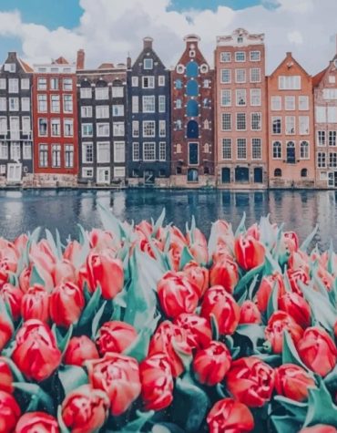 Amsterdam Blooms and Architecture Paint By Numbers