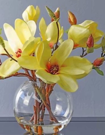 Southern Magnolia Flower Paint By Numbers