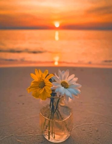 Seaside Sunrise Paint By Numbers