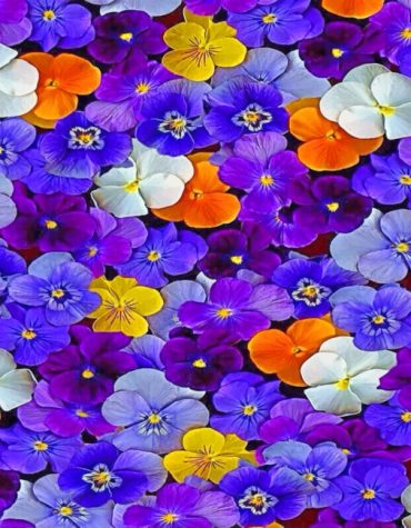 Blue and Purple Flowers Paint By Numbers