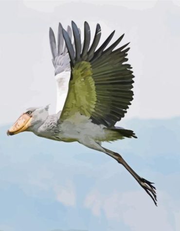 Majestic Shoebill Stork Paint By Numbers