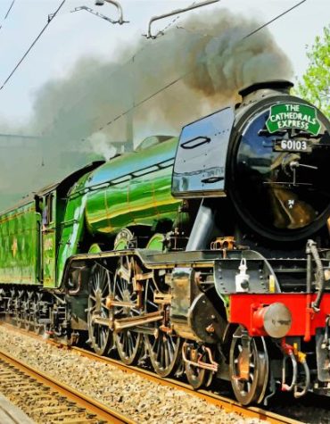 Flying Scotsman Train Paint By Numbers