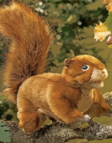 Red Squirrel Fun Puppet Paint By Numbers
