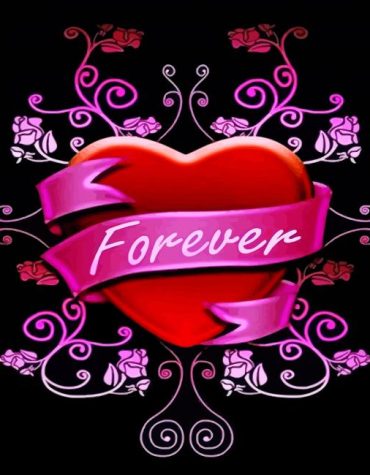 Heart Love Illustrations Paint By Numbers