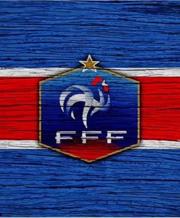 Colorful France Flag Paint By Numbers